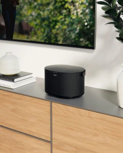 Smart Speaker — Smart Speaker, Brane Audio