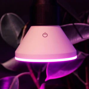 Smart Flood Light Bulb PAR38 — Smart Light Bulb, LIFX
