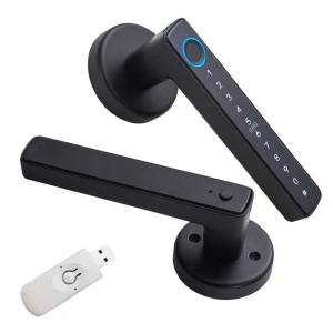 Fingerprint Door Lock, Black — Smart Lock, WAFU