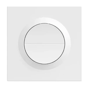 Double Smart Wall Switch, Dual Gang — Smart Switch, Sonoff