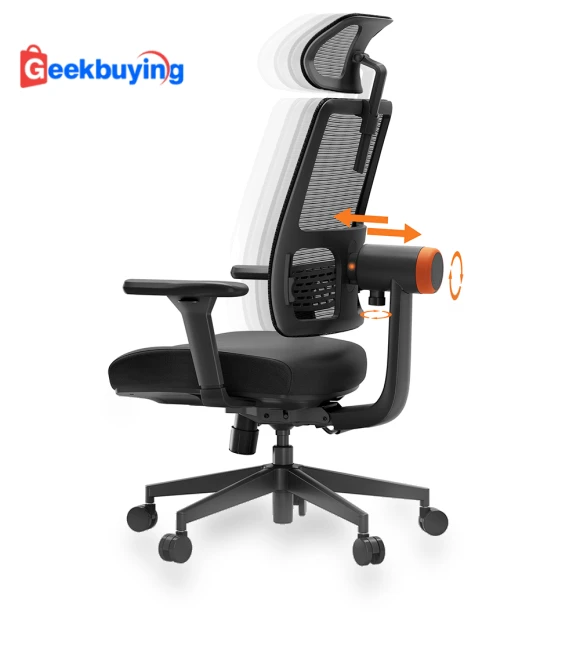 Ergonomic Office Chair with Auto-Following Backrest and Adjustable Headrest — Desk Chairs, NEWTRAL