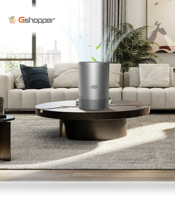 Intelligent Negative Ion Air Purifier for Home — Air Ionizers, The new