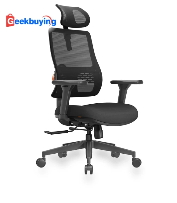 Ergonomic Office Chair with Auto-Following Backrest and Adjustable Headrest — Desk Chairs, NEWTRAL