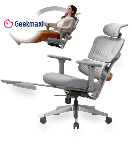 Ergonomic Chair with Adjustable Backrest, Armrest, Headrest, and Footrest - Grey — Desk Chairs, NEWTRAL