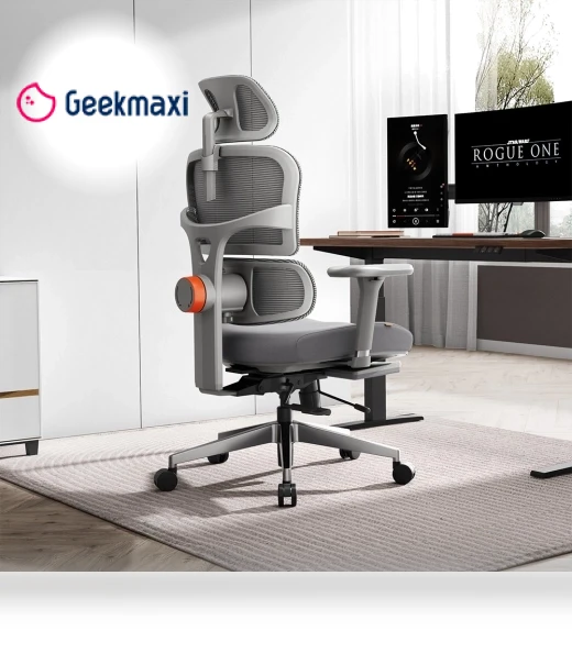 Ergonomic Chair with Adjustable Backrest, Armrest, Headrest, and Footrest - Grey — Desk Chairs, NEWTRAL