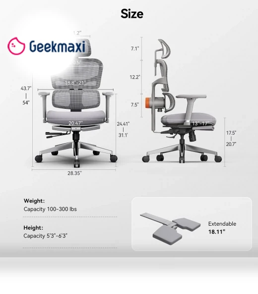 Ergonomic Chair with Adjustable Backrest, Armrest, Headrest, and Footrest - Grey — Desk Chairs, NEWTRAL