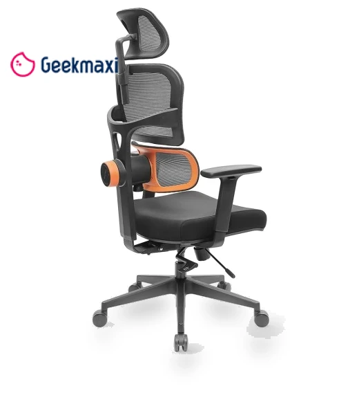 Ergonomic Chair with Adaptive Lower Back Support, Adjustable Armrest and Headrest — Desk Chairs, NEWTRAL