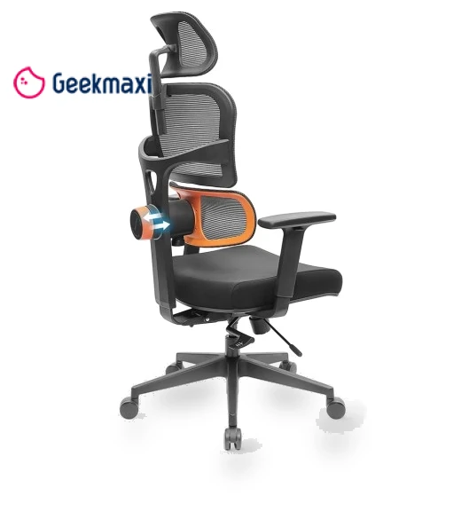Ergonomic Chair with Adaptive Lower Back Support, Adjustable Armrest and Headrest — Desk Chairs, NEWTRAL