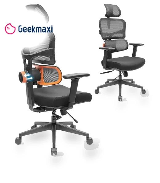 Ergonomic Chair with Adaptive Lower Back Support, Adjustable Armrest and Headrest — Desk Chairs, NEWTRAL