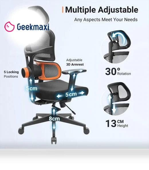 Ergonomic Chair with Adaptive Lower Back Support, Adjustable Armrest and Headrest — Desk Chairs, NEWTRAL