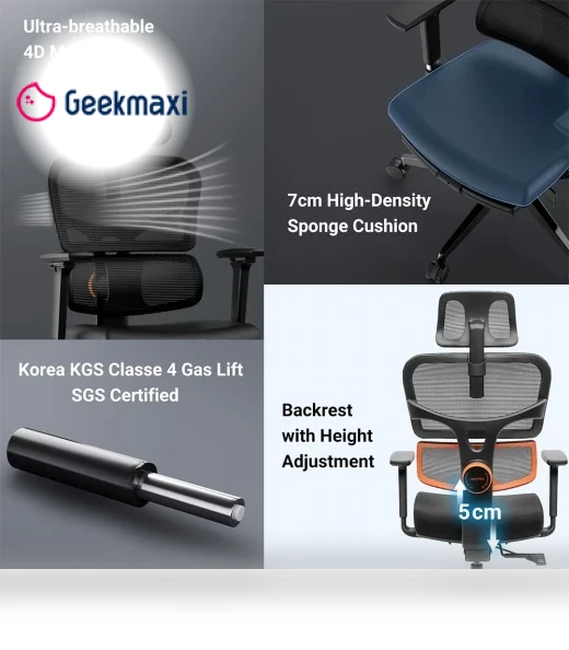 Ergonomic Chair with Adaptive Lower Back Support, Adjustable Armrest and Headrest — Desk Chairs, NEWTRAL