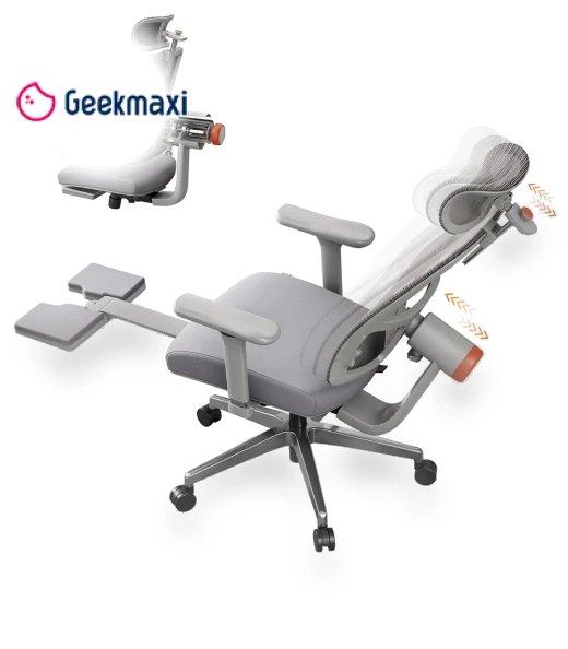 Ergonomic Chair with Footrest, Auto-Following Backrest Headrest, Adaptive Lower Back Support - Gray — Desk Chairs, NEWTRAL
