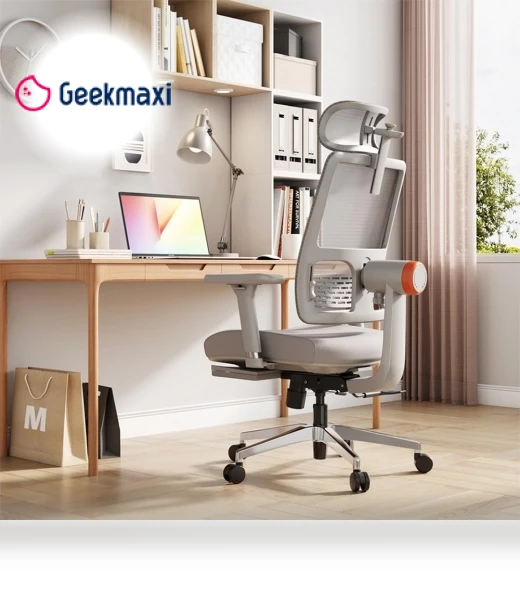 Ergonomic Chair with Footrest, Auto-Following Backrest Headrest, Adaptive Lower Back Support - Gray — Desk Chairs, NEWTRAL
