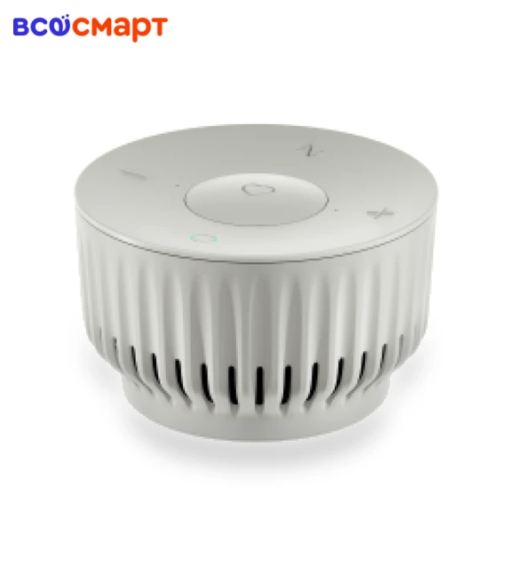 Smart Speaker — Portable Audio, Sber