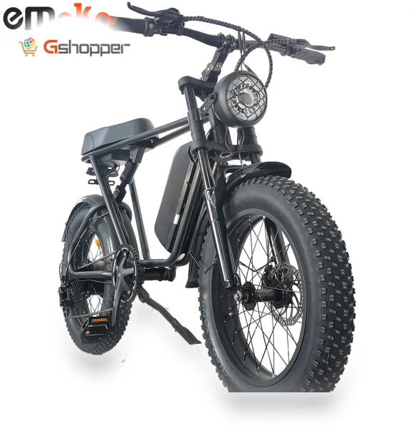 20 inch 4 Fat Tire Electric Bike — Electric Self-Balancing Scooters, Emoko