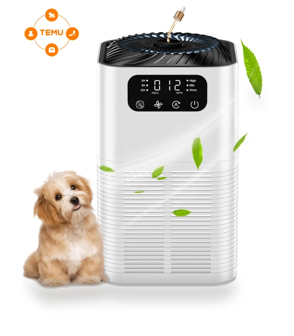 Air Purifier for Large Room with H13 True HEPA Filter — HEPA Air Purifiers