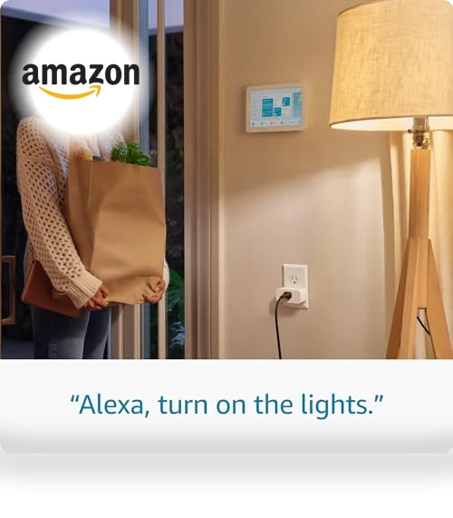 Smart Plug for Alexa | Voice Control Outlet — Mesh Wi-Fi Systems, Amazon