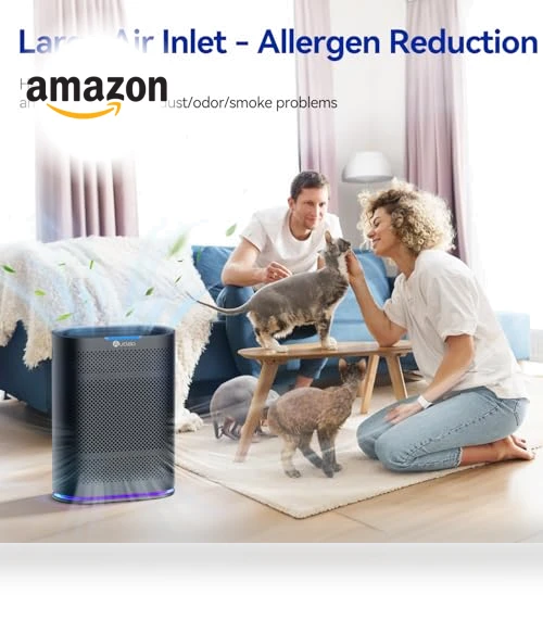 Large Room Air Purifier with Air Quality Monitor & Aromatherapy — Activated Carbon Air Purifiers, Aucleia