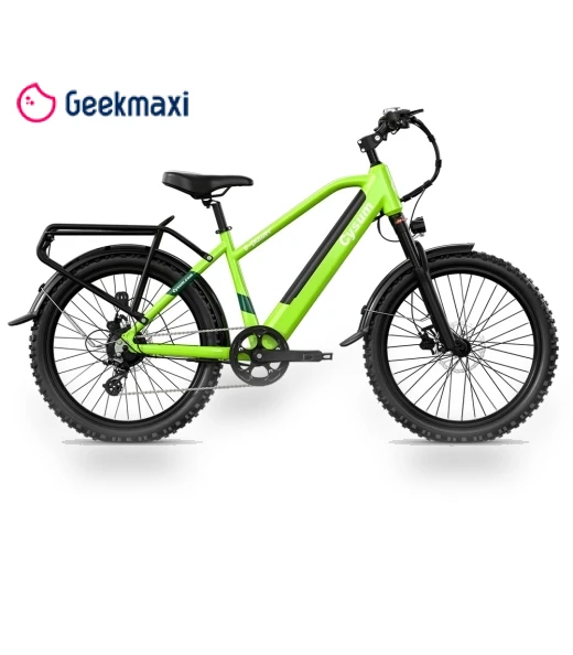 Teenager Electric Bike — Bike Accessories, CYSUM