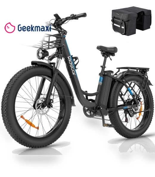 Electric Bike — Electric Vehicles, Ridstar