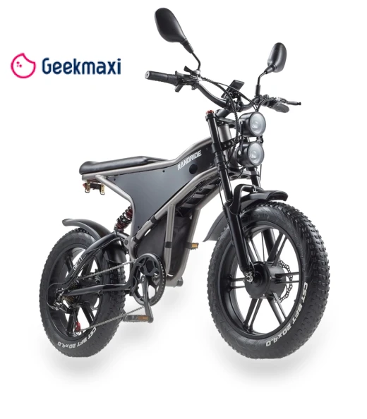 Electric Bike — Electric Vehicles, RANDRIDE