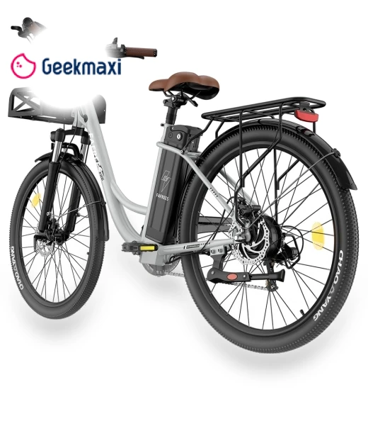 Lasting Electric Bike — Electric Self-Balancing Scooters, Fafrees