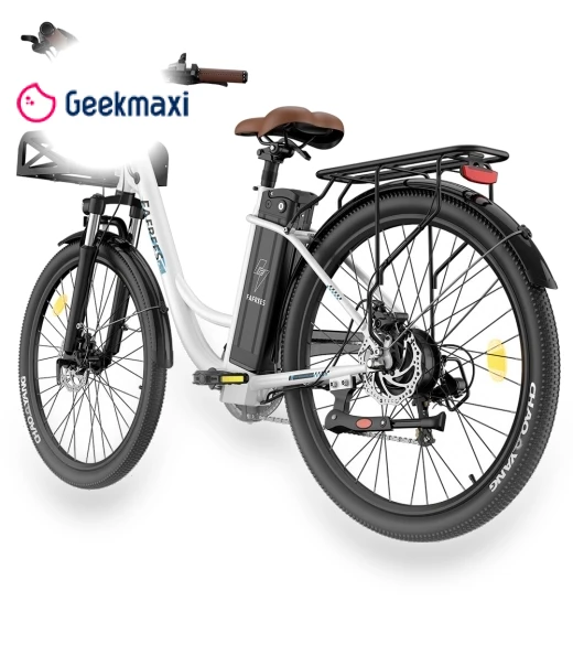 Lasting Electric Bike — Electric Self-Balancing Scooters, Fafrees
