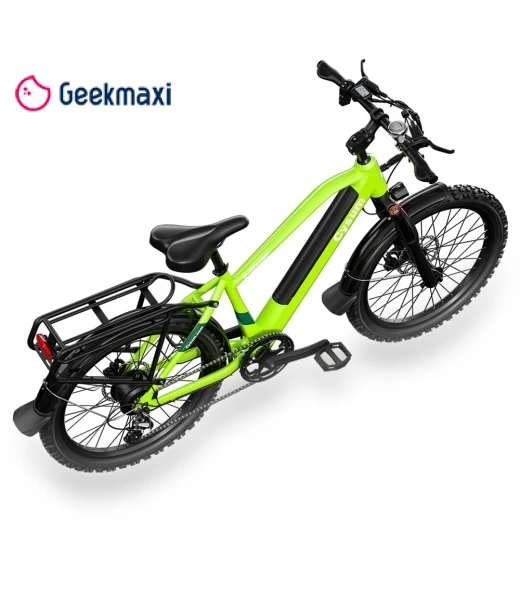 Teenager Electric Bike — Bike Accessories, CYSUM