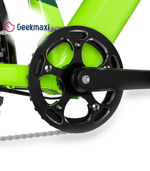 Teenager Electric Bike — Bike Accessories, CYSUM