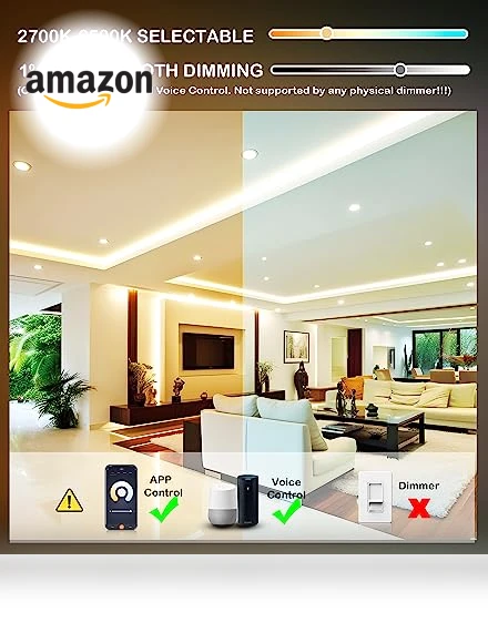 Smart WiFi LED Recessed Lights — LED, CLOUDY BAY