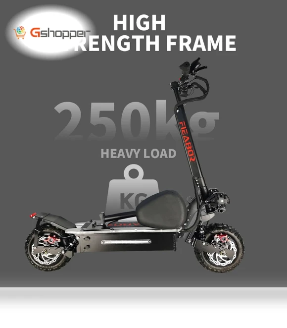 Electric Scooter — Electric Self-Balancing Scooters, Fieabor