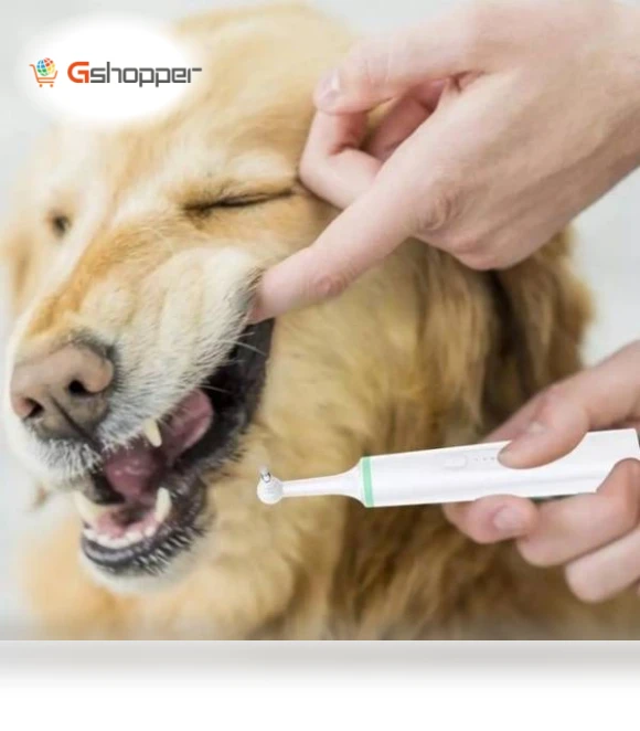 Electric Toothbrush for Pets — Electric Toothbrush Heads