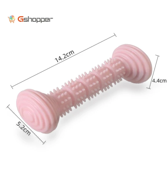 Teething Toy Chewing Dog Toothbrush Toy — Toys