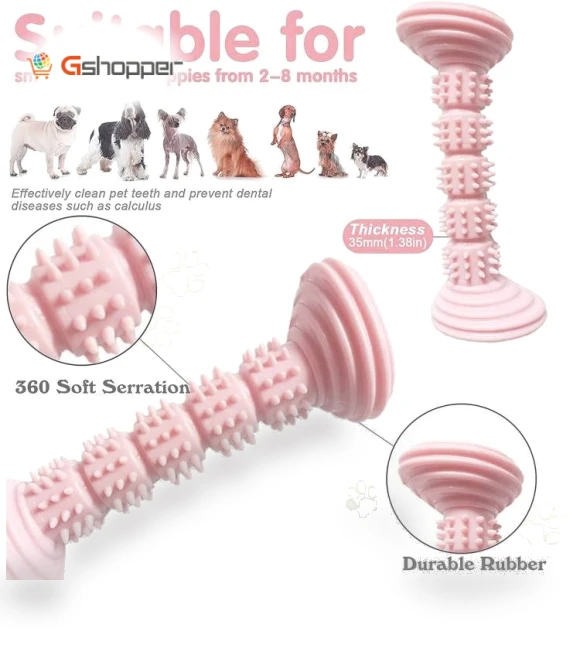 Teething Toy Chewing Dog Toothbrush Toy — Toys