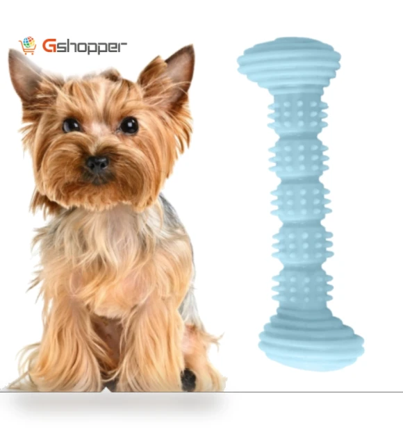 Teething Toys Chewing Gnawing Dog Toothbrush — Toothbrushes