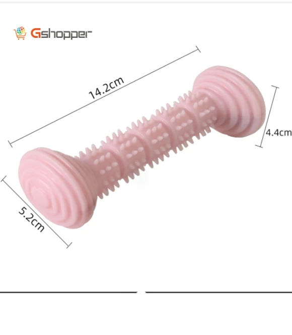 Teething Toys Chewing Gnawing Dog Toothbrush — Toothbrushes