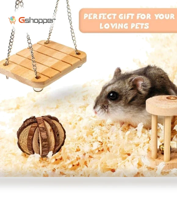 Hamster Seesaw Climbing Ladder Gnawing Teeth String Wooden Set Toy — Toys