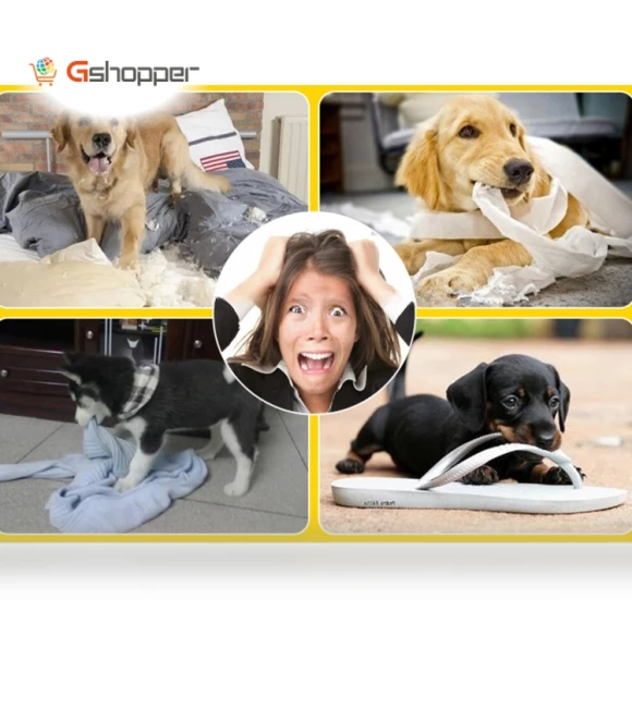 Tooth Cleaning Chewing Toy Balls for Pets — Toys