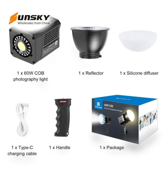 60W Studio Video Light — Continuous Lighting, PULUZ