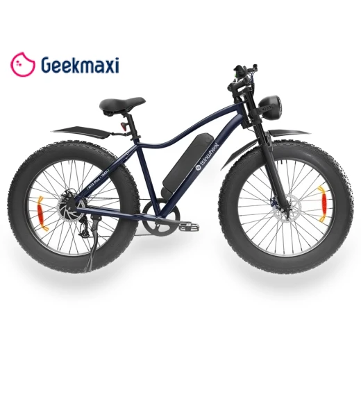 Electric Bike — Electric Vehicles, isinwheel