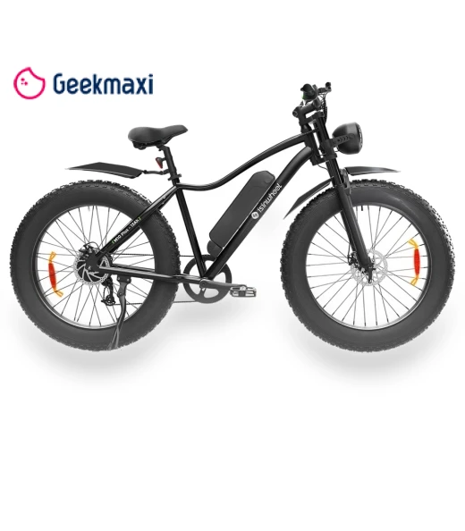 Electric Bike — Electric Vehicles, isinwheel