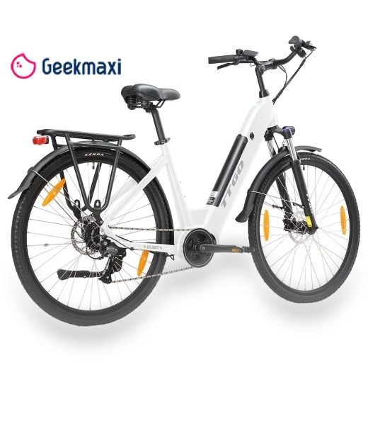 Electric Bike — Electric Self-Balancing Scooters, TTGO