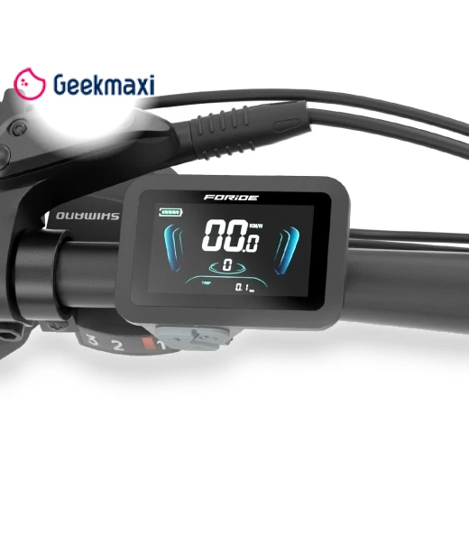 Electric Bike — Electric Self-Balancing Scooters, Foride