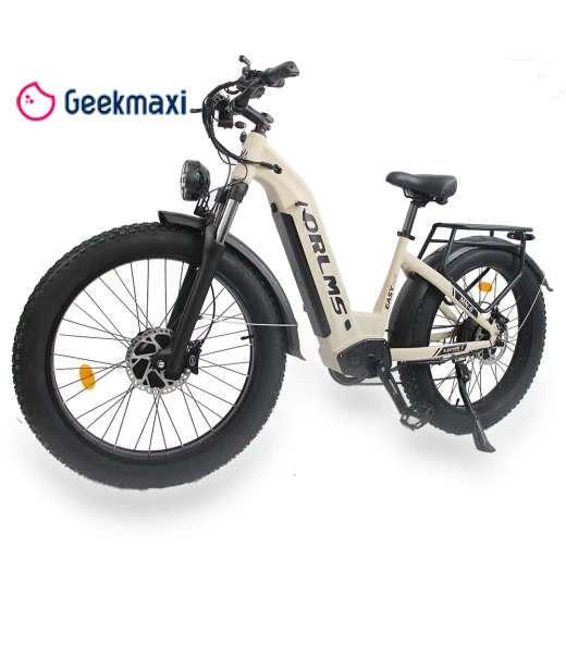Electric Bike — Electric Self-Balancing Scooters, Orlms