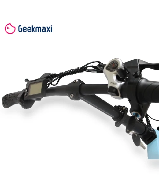 Electric Bike — Electric Vehicles, Orlms