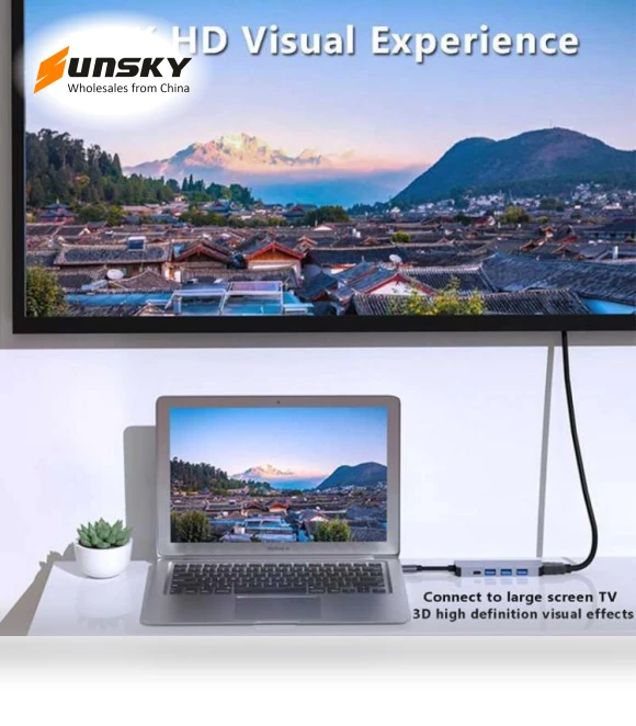 USB C to HDMI Multiport Hub Adapter — USB Hubs