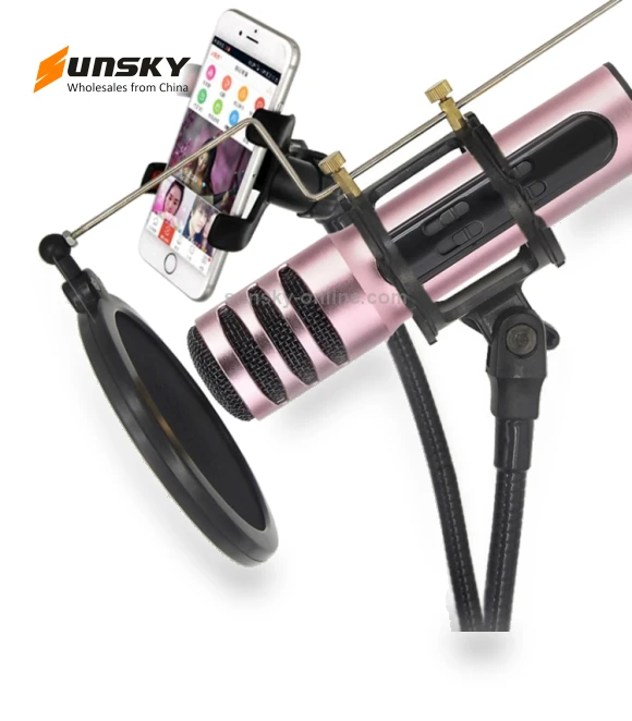 Condenser Microphone Dual Mobile Phone Karaoke Live Singing Microphone — Microphones, BGN