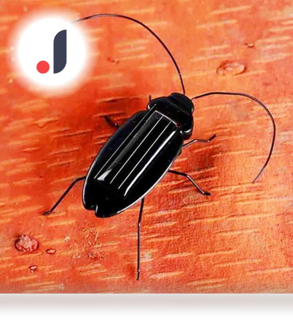 Solar-Powered Educational Cockroach Robot Toy — Solar Power, Haizhihong