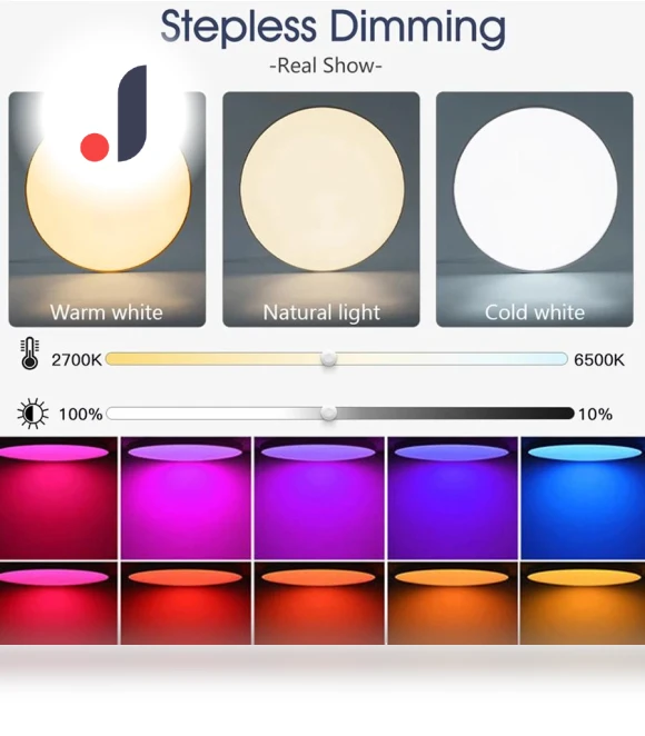 Smart LED Ceiling Light — Overhead Lighting, Build My Home