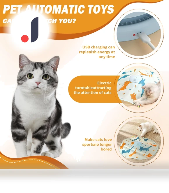Interactive Cat Toy — Cat Playthings, Challenge
